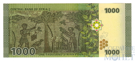 1000 фунтов, 2013 г., Сирия
