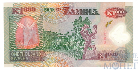 1000 квача, 2011 г., Замбия