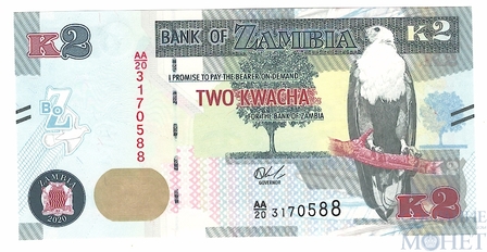 2 квача, 2020 г., Замбия