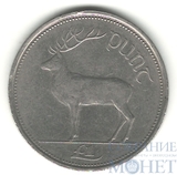 1 фунт, 1998 г., Ирландия