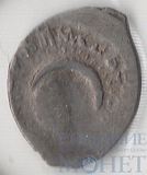 Деньга, серебро, 1456-1483 гг.., Рязанский князь Василий Иванович, "Голова с полумесяцем/зверек"