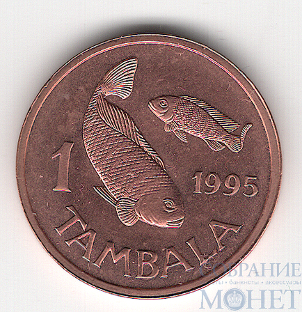 1 тамбала, 1995 г., Малави