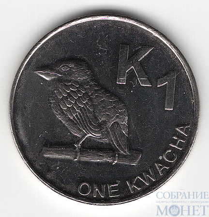 1 квача, 2012 г., Замбия(Барбет Чаплина или замбийский барбет)