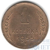 1 копейка, 1955 г.