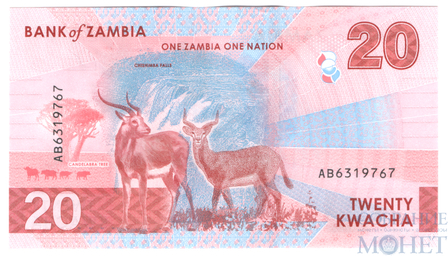 20 квача, 2024 г., Замбия