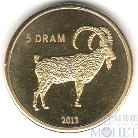 5 драм, 2013 г., Нагорный Карабах,(Архар)