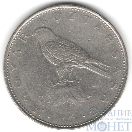 50 форинтов, 1995 г., Венгрия(Сокол (Балобан))