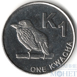 1 квача, 2012 г., Замбия(замбийский дятел)