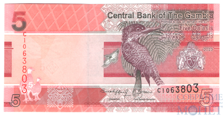 5 даласи, 2023 г., Гамбия