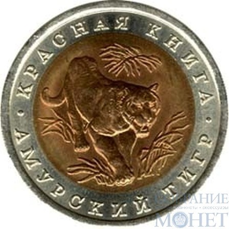 10 рублей, 1992 г., "Амурский тигр"